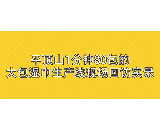 平頂山1分鐘80包的大包濕巾生產線現場回訪實錄